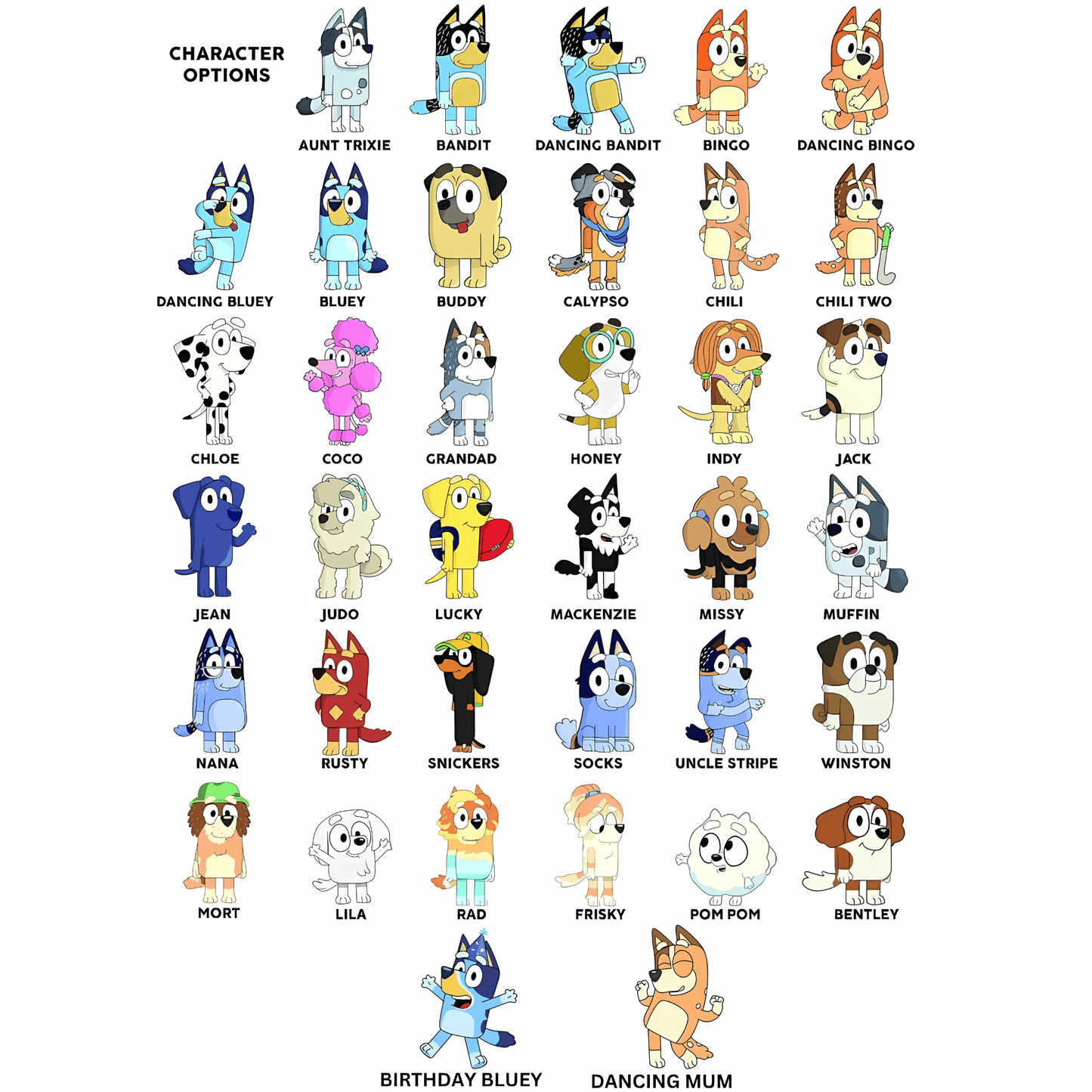 Personalized Bluey Family Matching Shirts | Custom Bluey Birthday Squad Shirt - Off Bubble